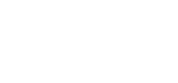 Cupid & Co logo
